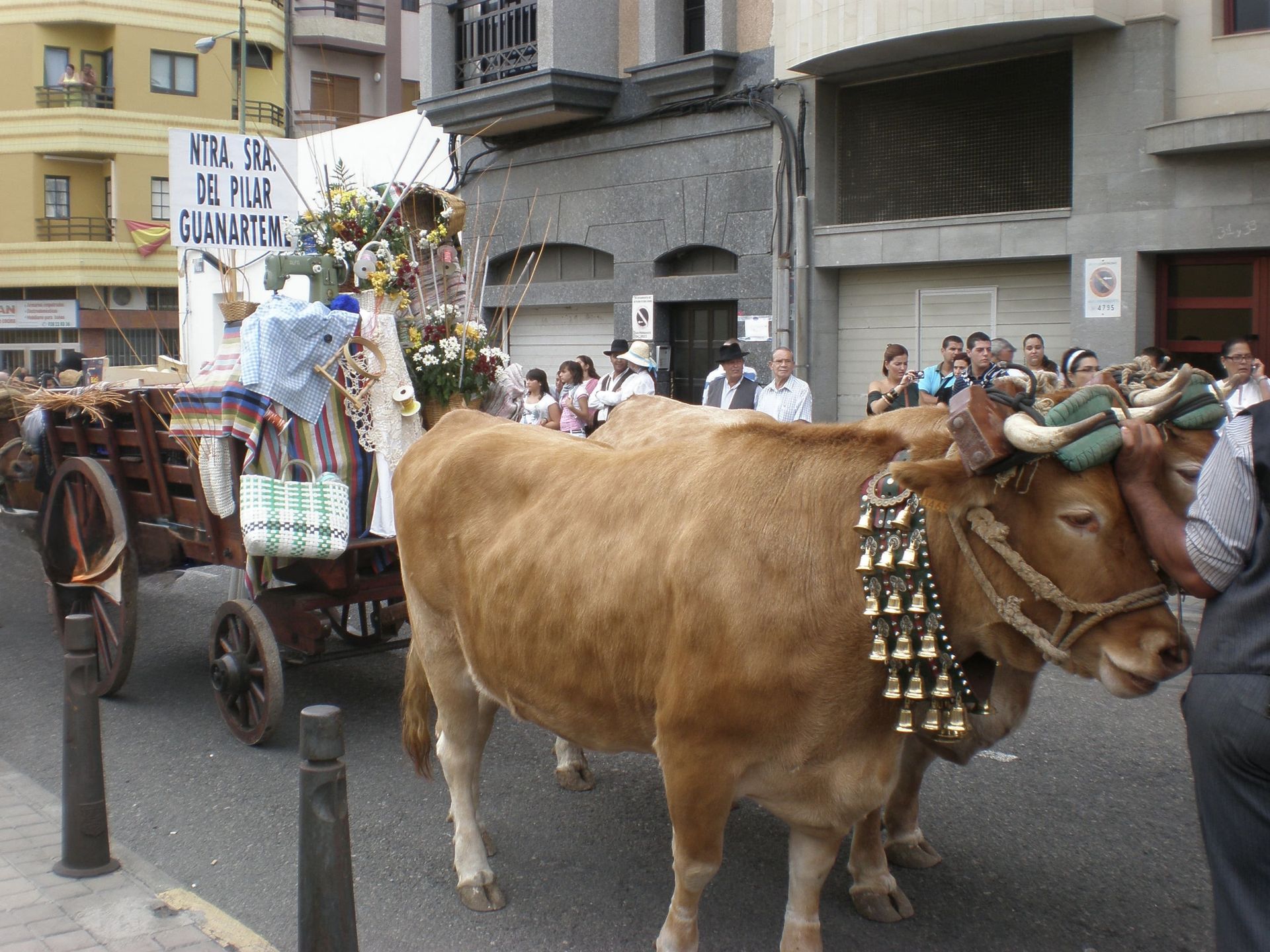 Romería Fiestas de Ntra. Sra. del Pilar Guanarteme